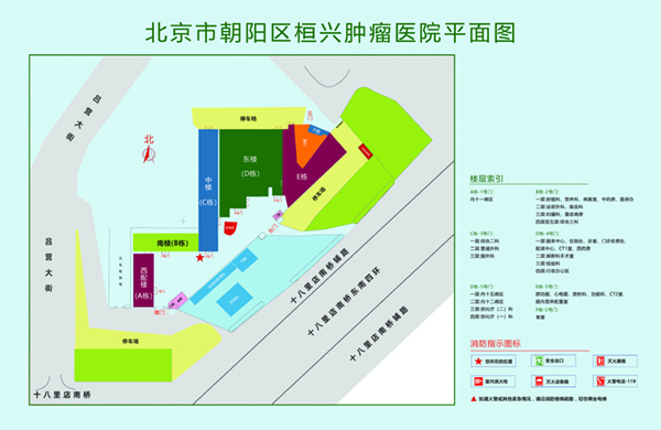 日逼玩北京市朝阳区桓兴肿瘤医院平面图